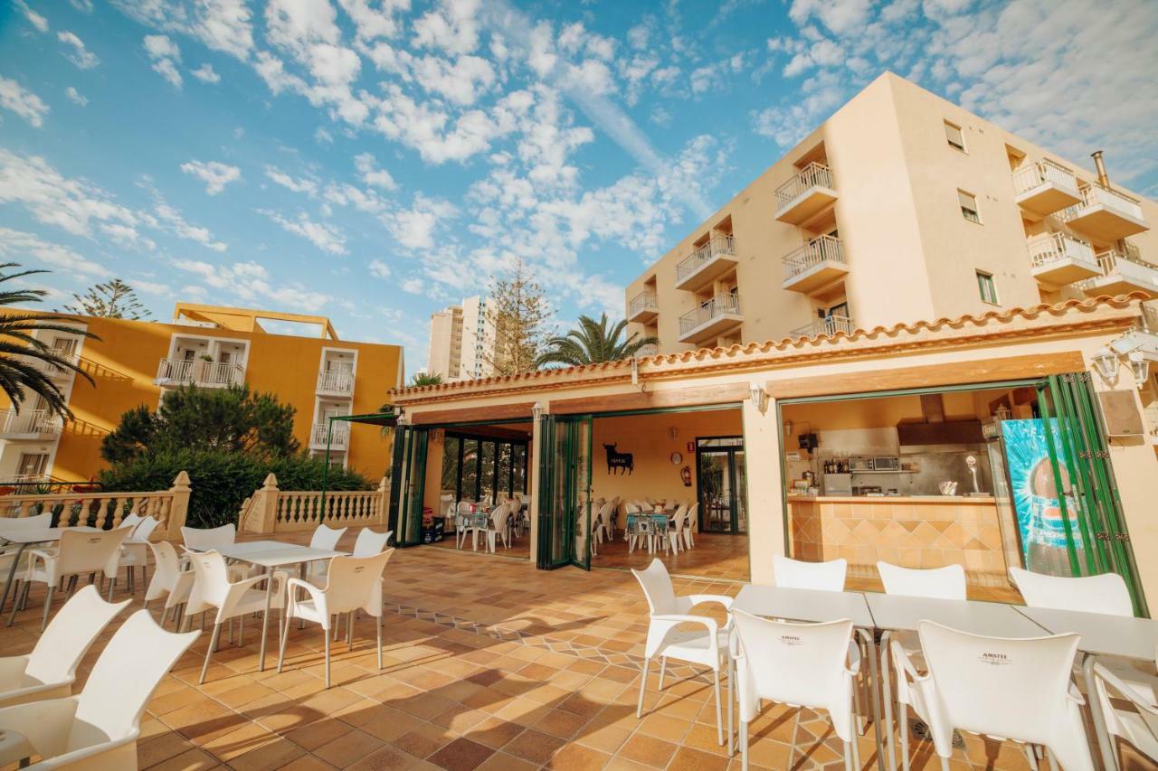 Apartamentos Palm Court ベニドルム エクステリア 写真